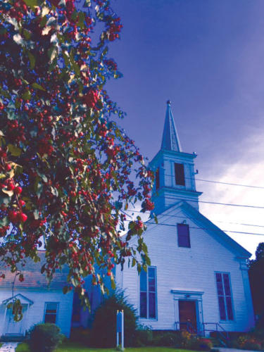 Berries-on-Tree