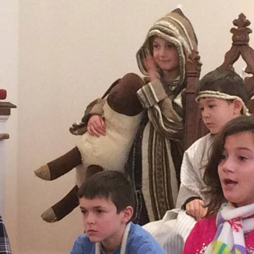 Christmas-Pageant-Sheepard