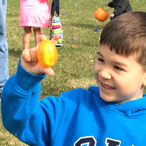 Egg-Hunt
